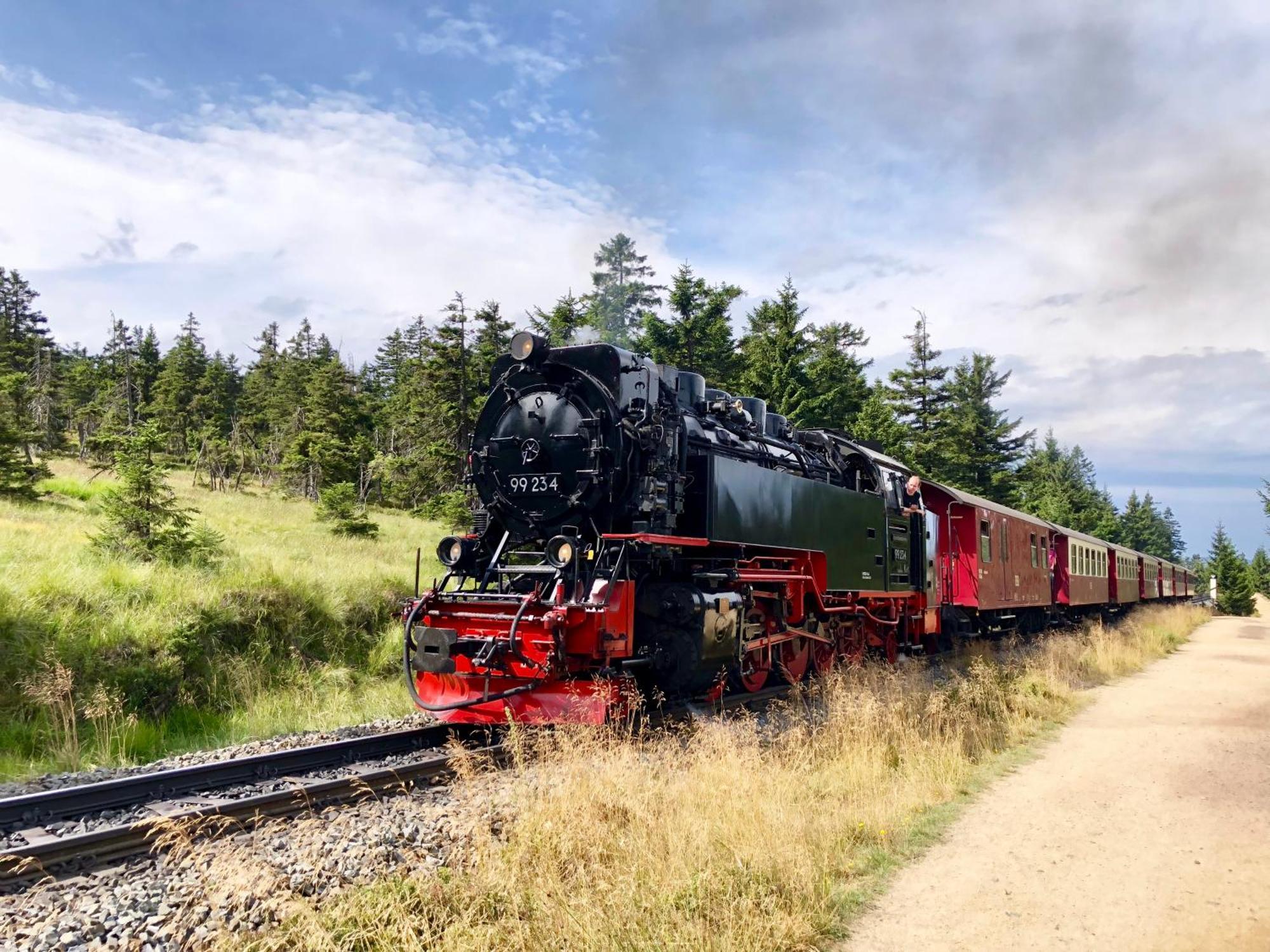 Haus Brockenblick #Garten #Ruhige Lage #Ps 5 #Netflix Von Harztraveler Lägenhet Bad Harzburg Exteriör bild